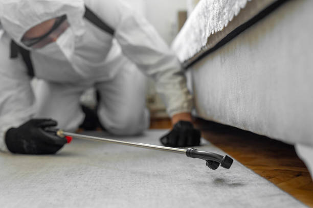 Professional Pest Control technician working in Emmet County County, MI